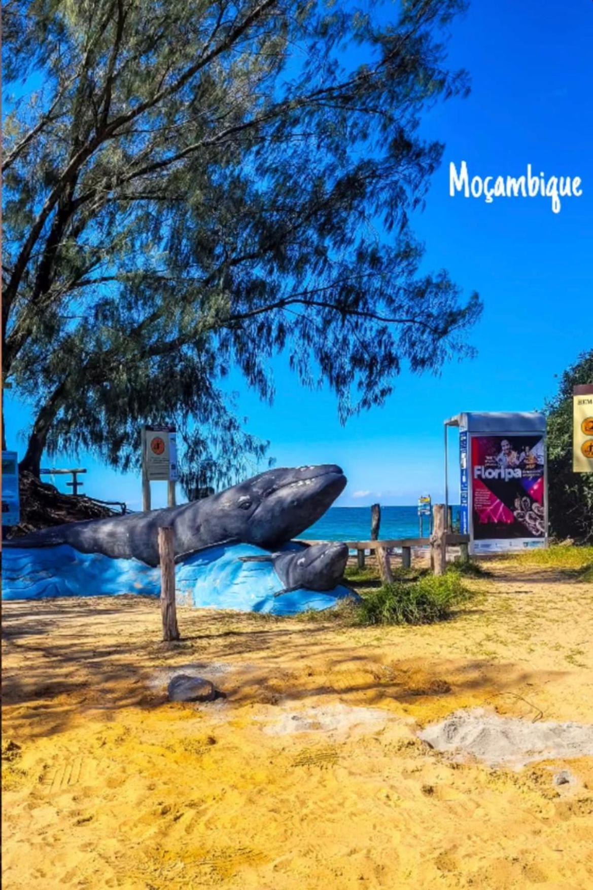 Hotel Pousada Ilha Dos Anjos Florianópolis Exteriér fotografie